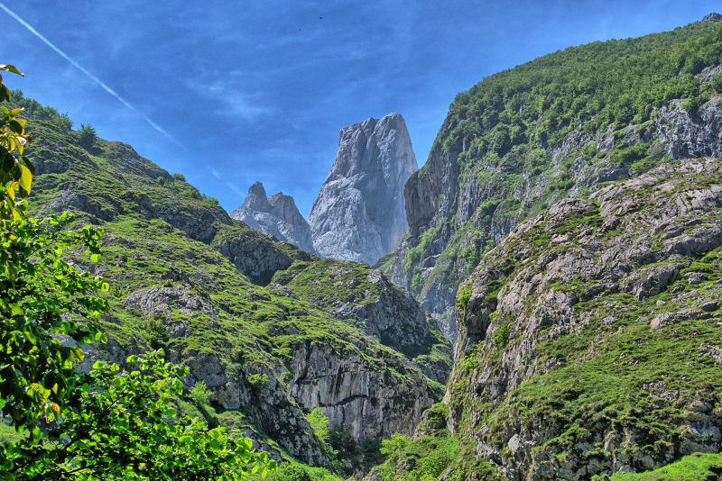 Naranjo de Bulnes