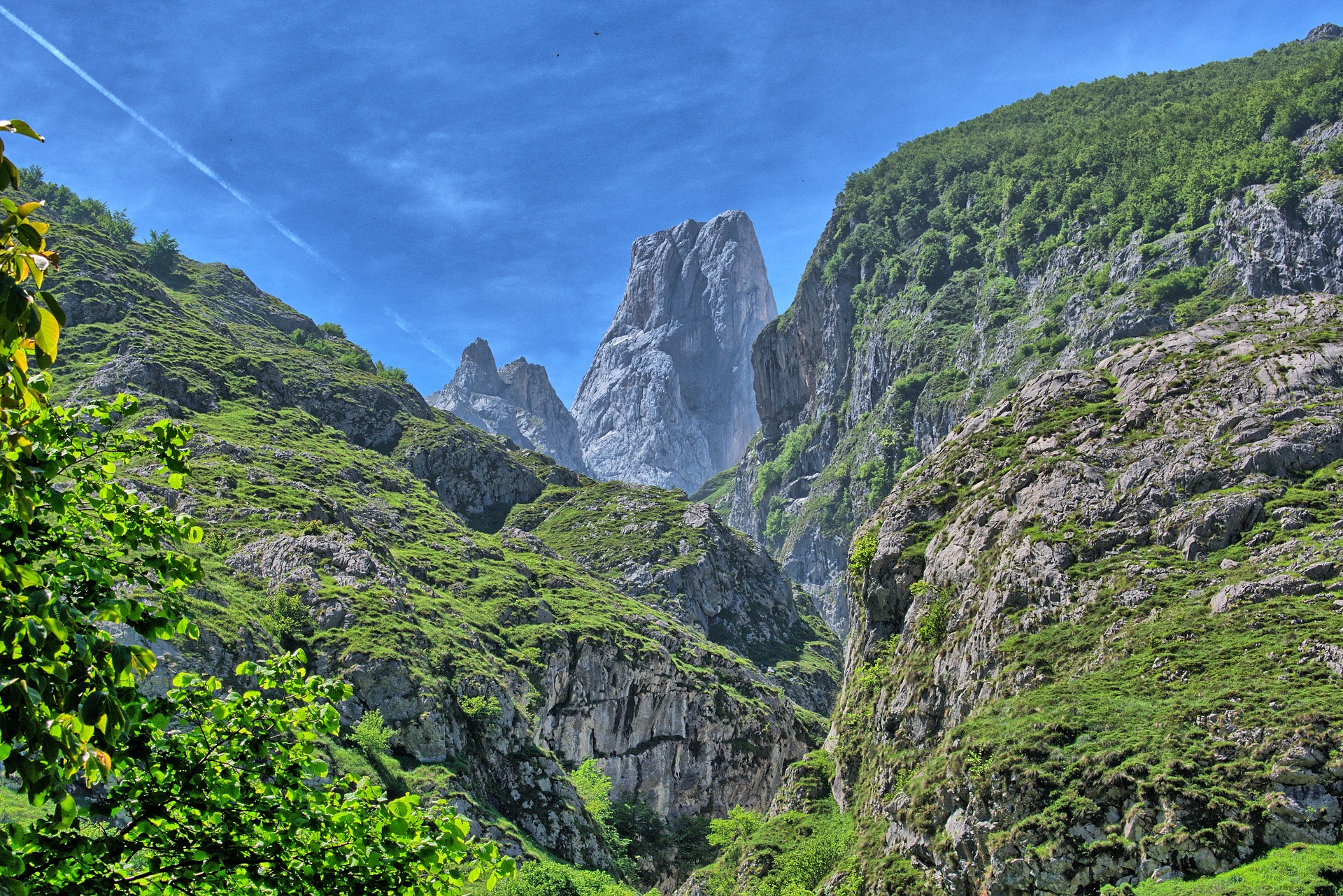 Naranjo de Bulnes