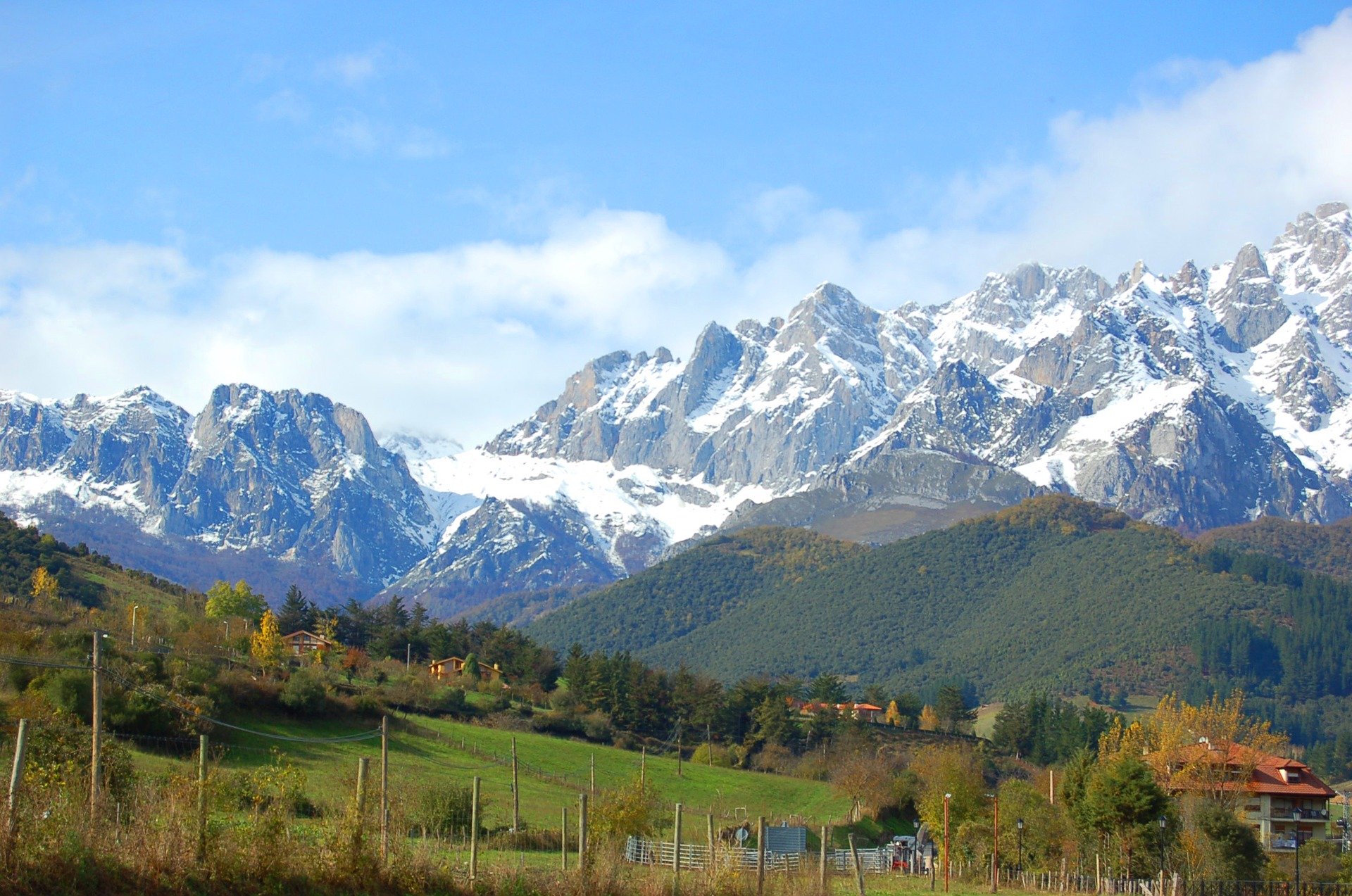 Picos de Europa